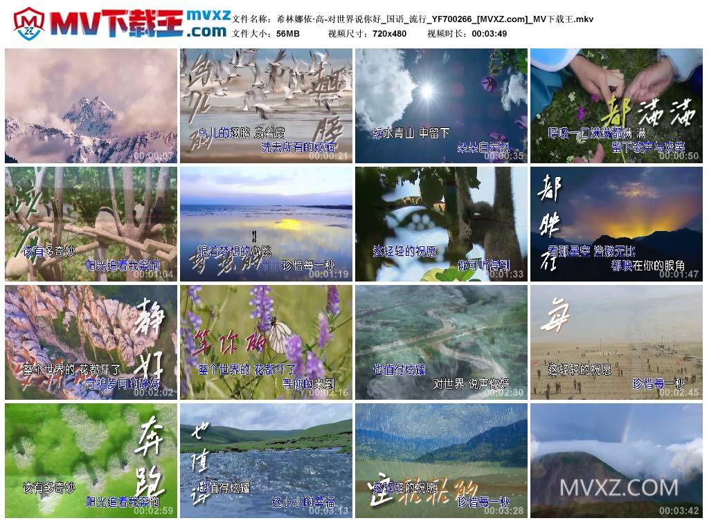 希林娜依·高-对世界说你好_国语_流行_YF700266